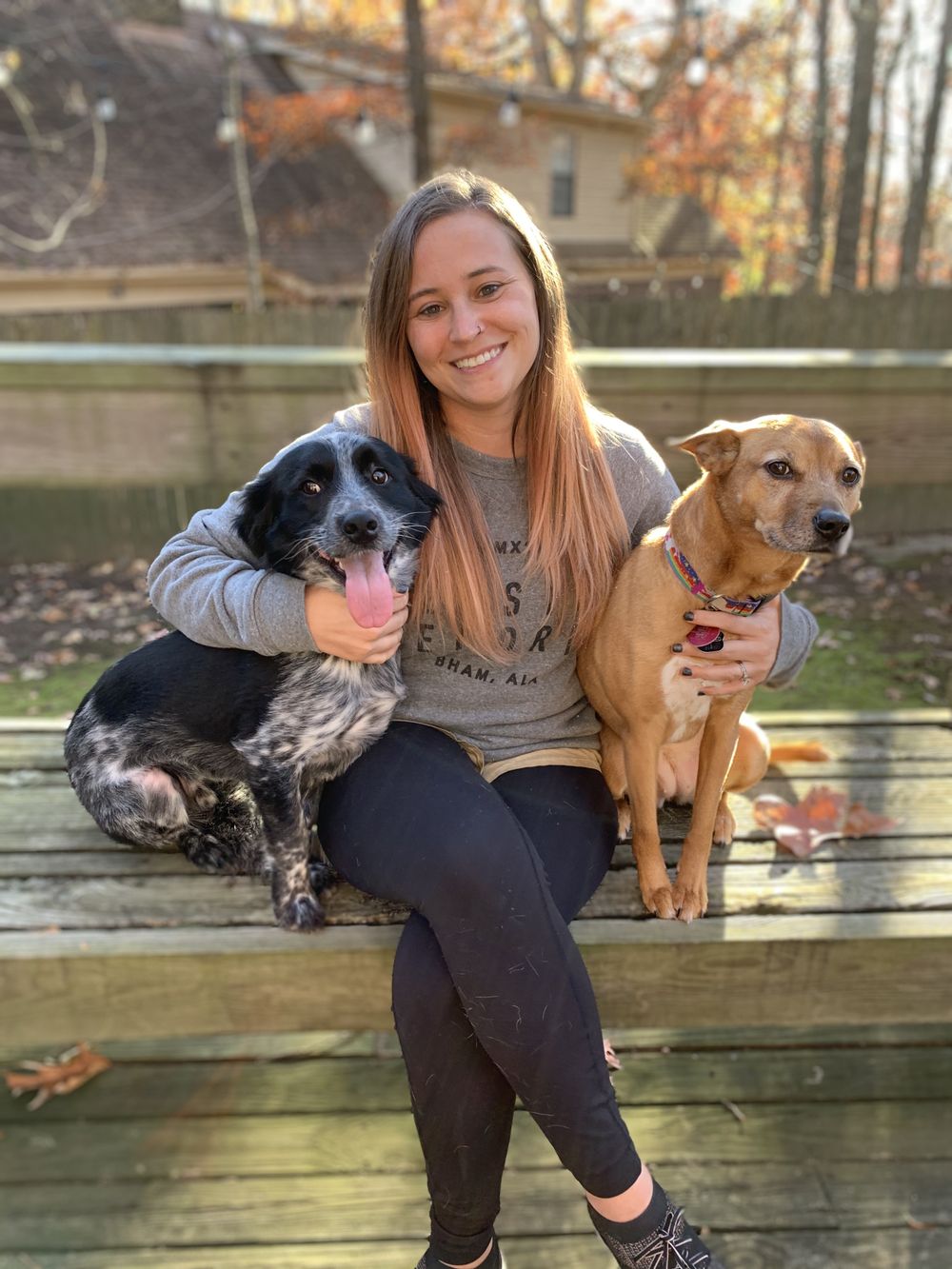 only-dogs OnlyFans profile picture