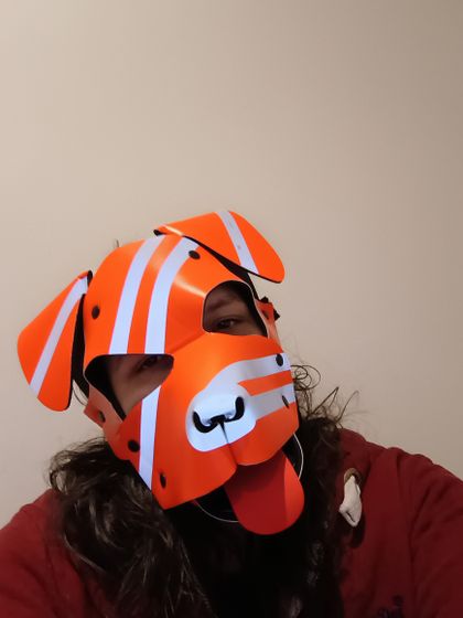sprinterpup OnlyFans picture