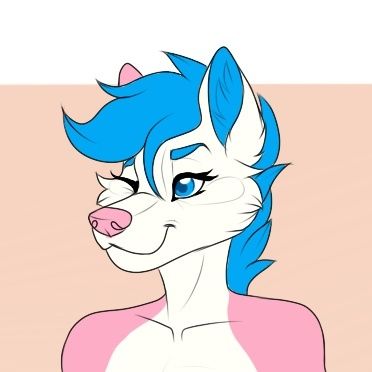 skyelarsamoyed OnlyFans picture