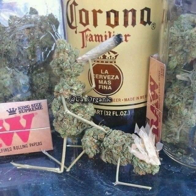 bigwood404 OnlyFans profile picture