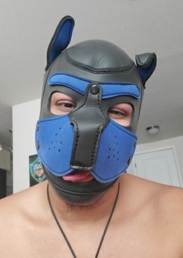 pupgaymerxxx OnlyFans picture