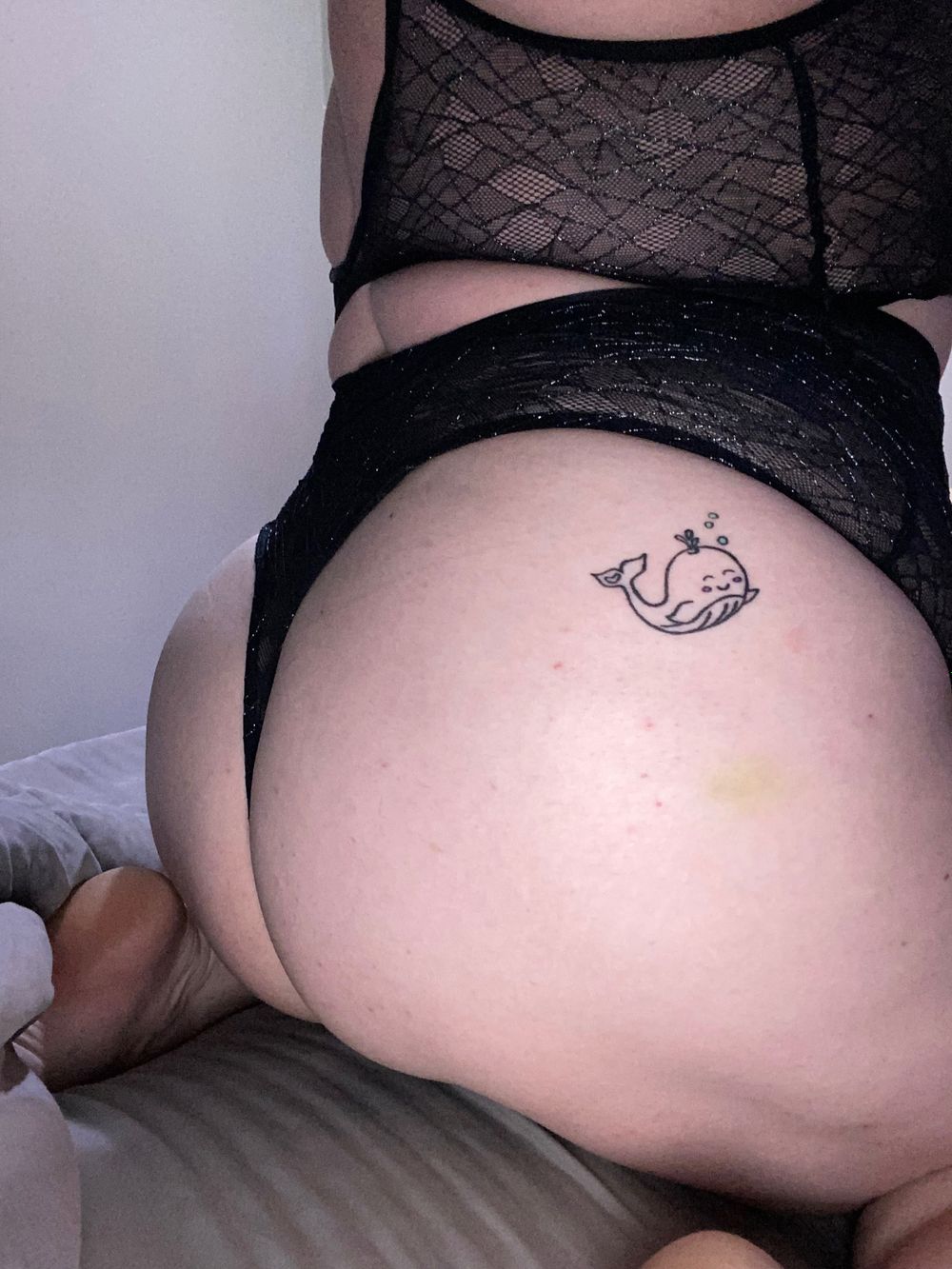 comicsandcats OnlyFans profile picture