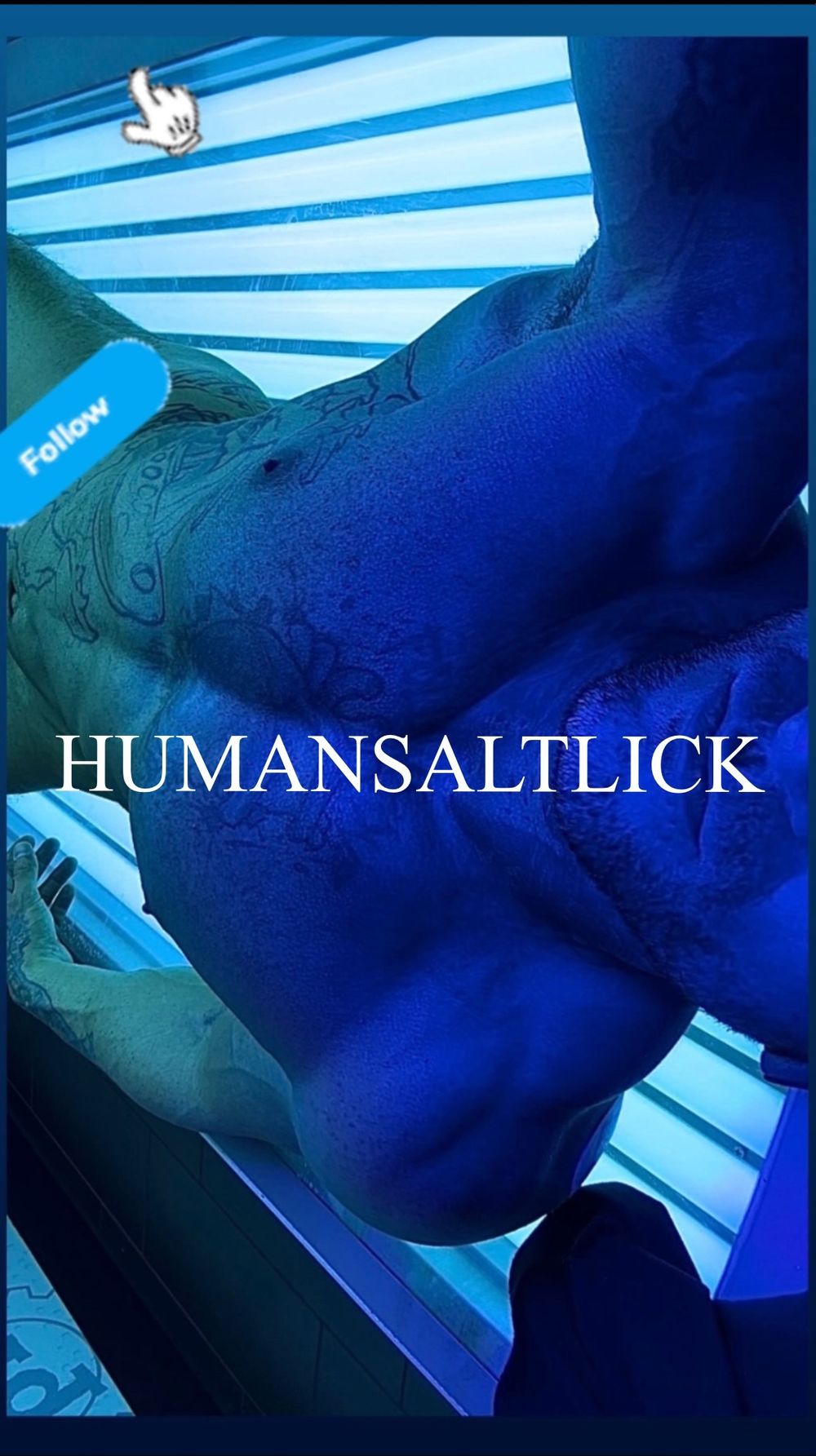 humansaltlick OnlyFans profile picture