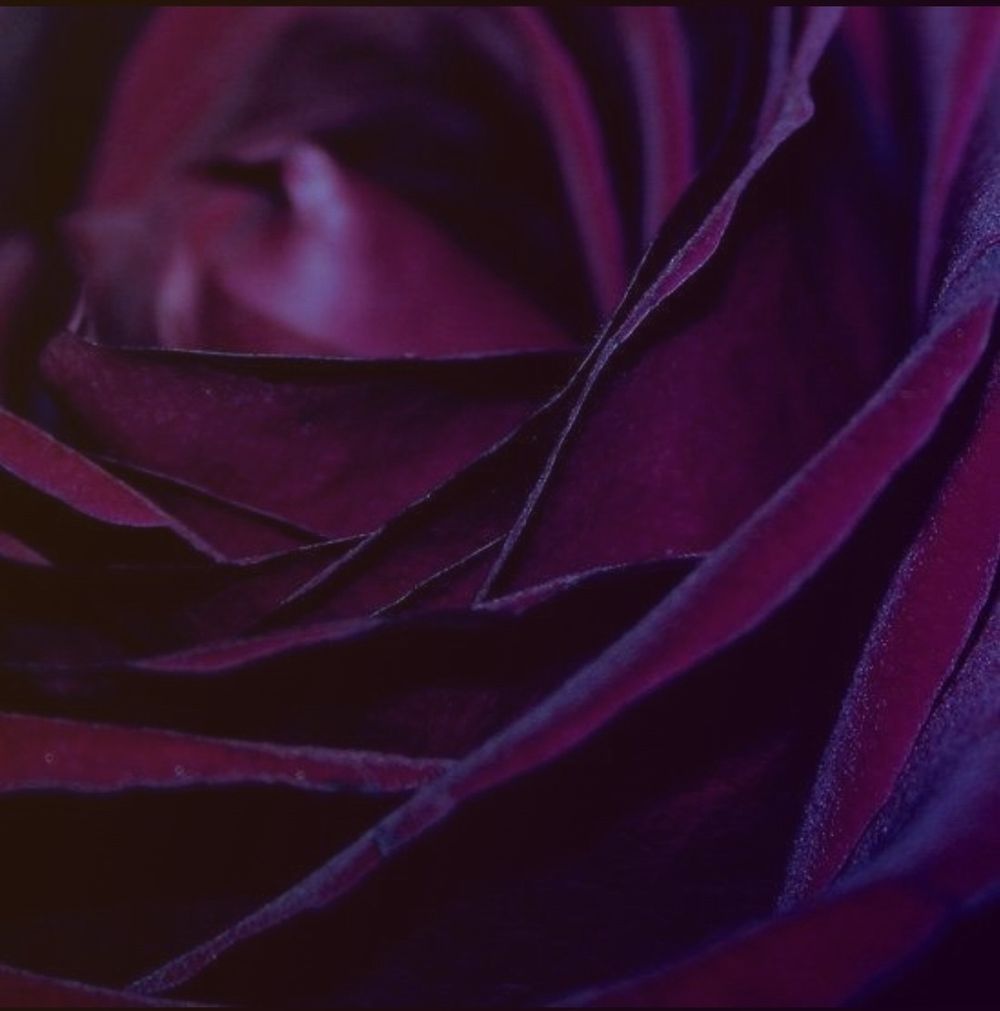 morbidlillith OnlyFans profile picture