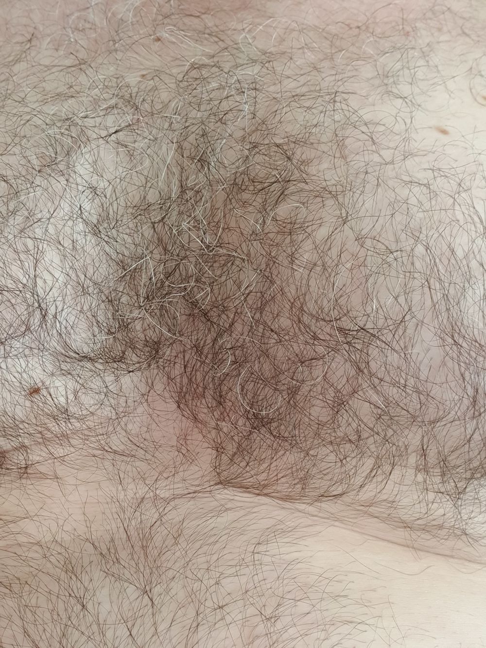 harrymann OnlyFans profile picture
