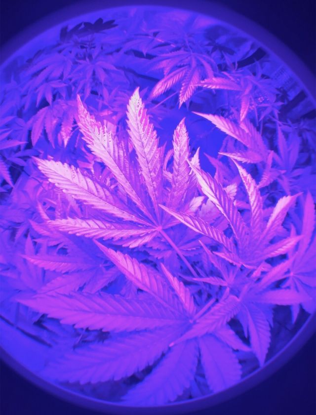 fxckcxitlin OnlyFans profile picture