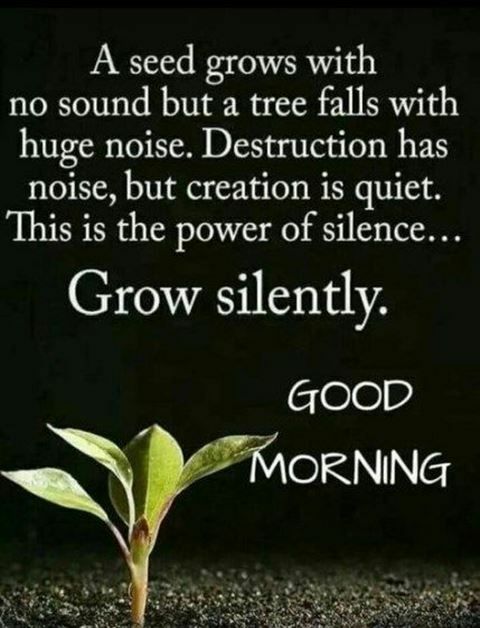 thepowerofsilence OnlyFans profile picture