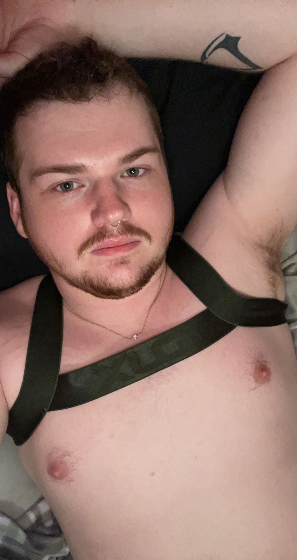 smsilentfox OnlyFans profile picture