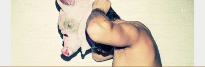 mlkaobbsp OnlyFans profile picture