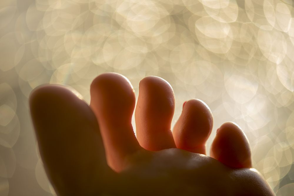 elisefetish OnlyFans profile picture