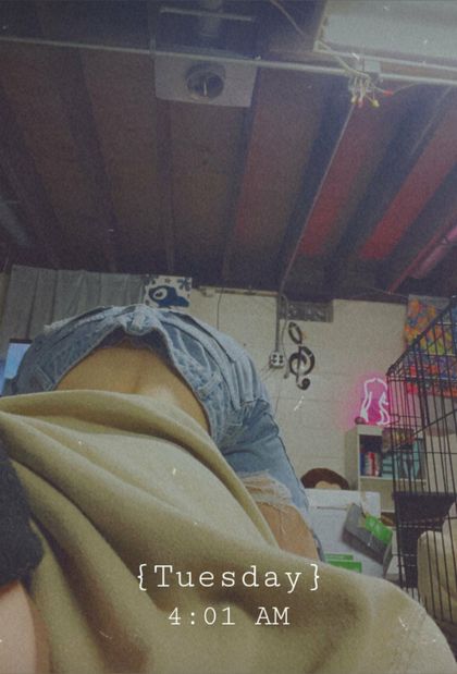 honeybabe_1237 OnlyFans picture