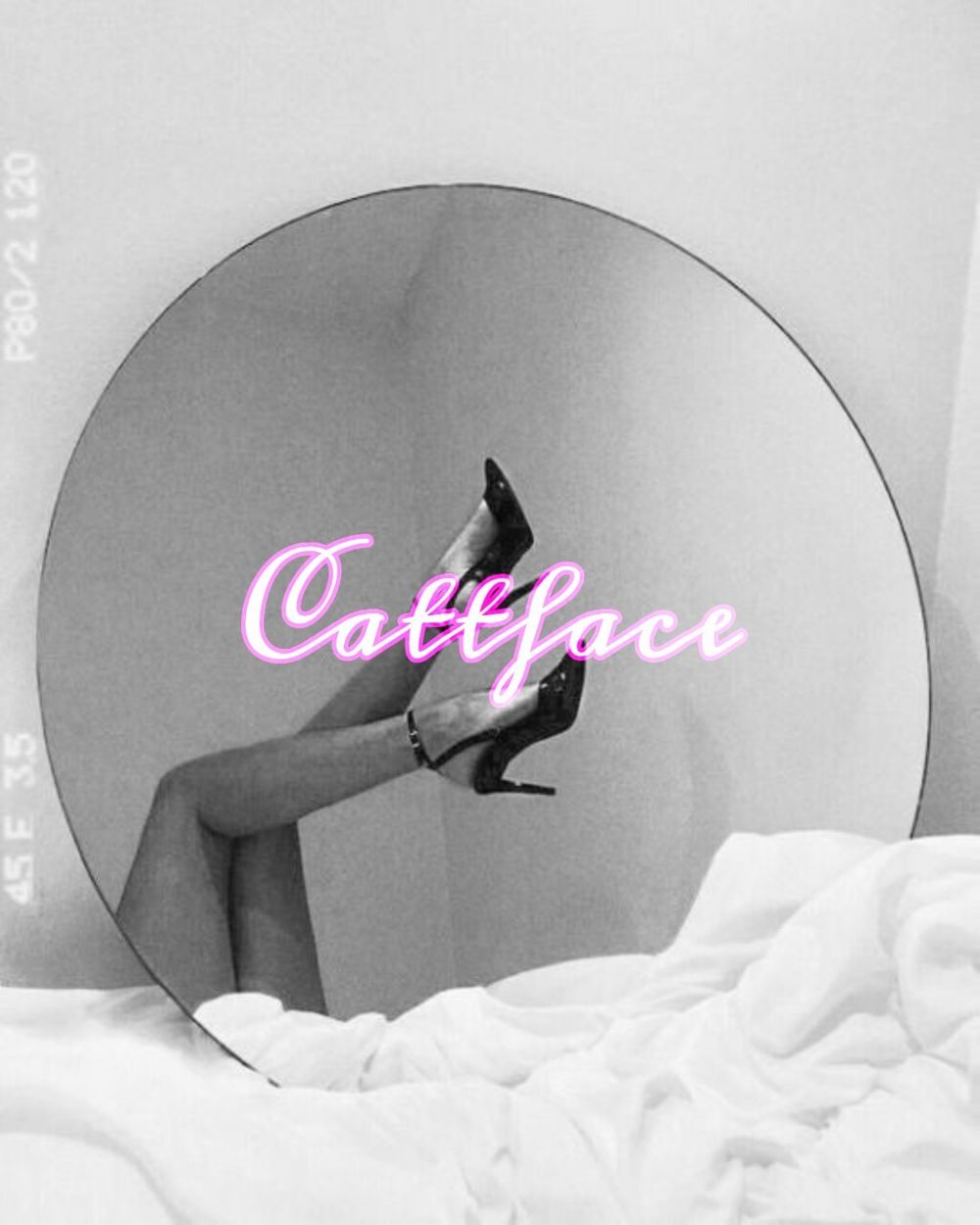 cattface OnlyFans profile picture