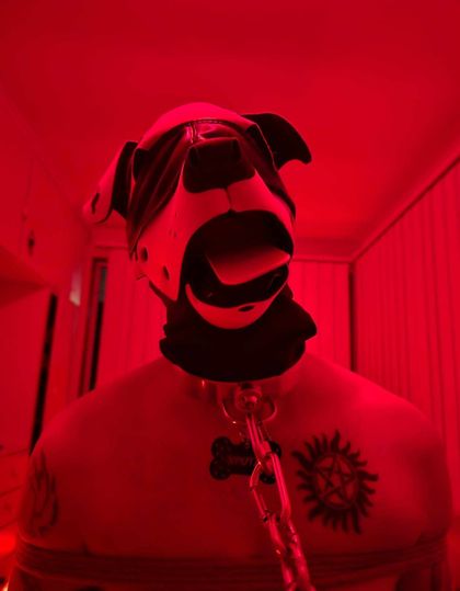 pup_spotzz OnlyFans picture