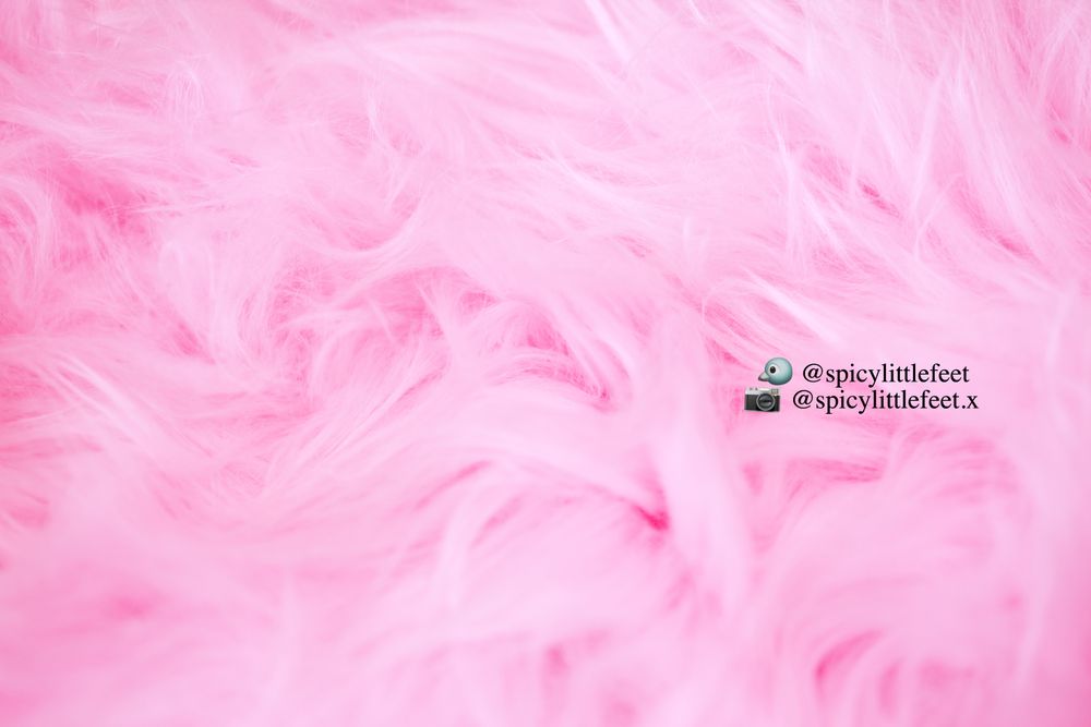 spicylittlefeet OnlyFans profile picture