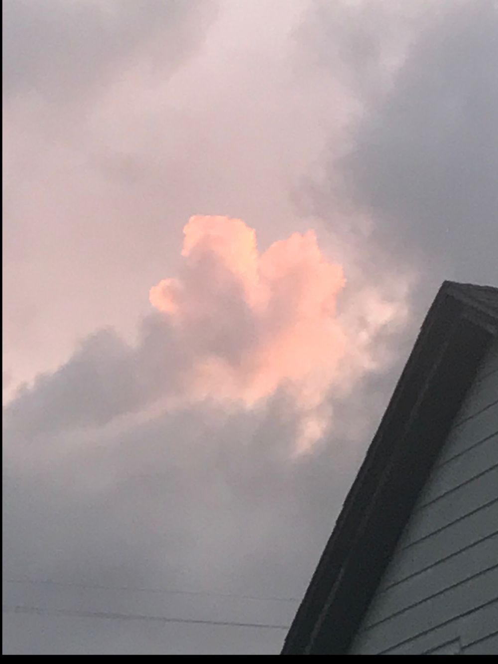 ursweetiemoth OnlyFans profile picture