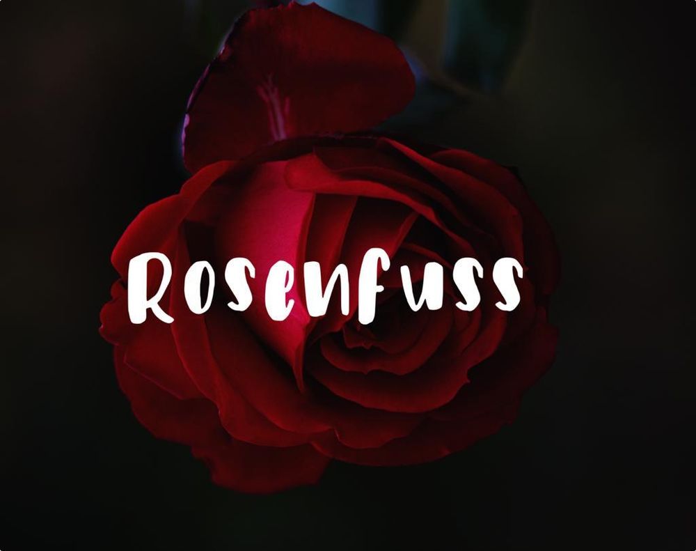 rosenfuss OnlyFans profile picture