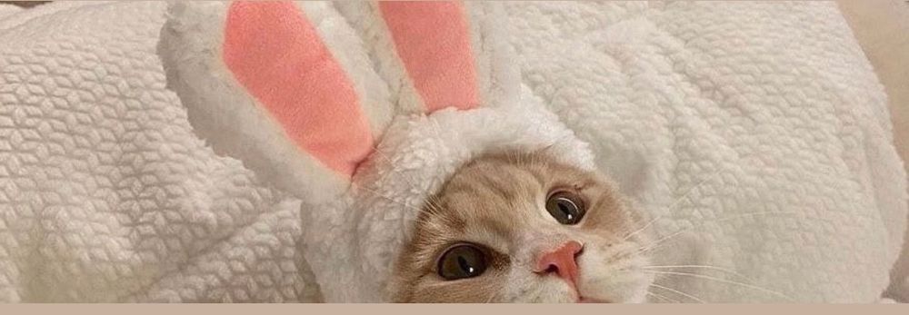 lovebunnym OnlyFans profile picture
