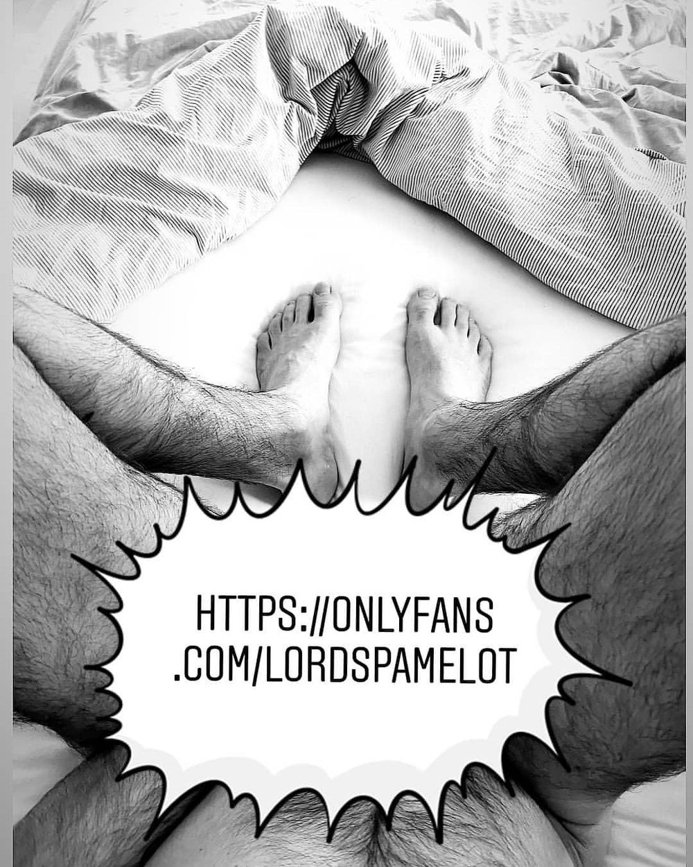 lordspamelot OnlyFans profile picture