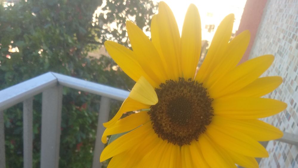 catherinetournesol OnlyFans profile picture