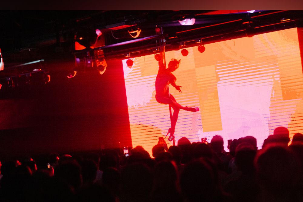 gayriespd OnlyFans profile picture