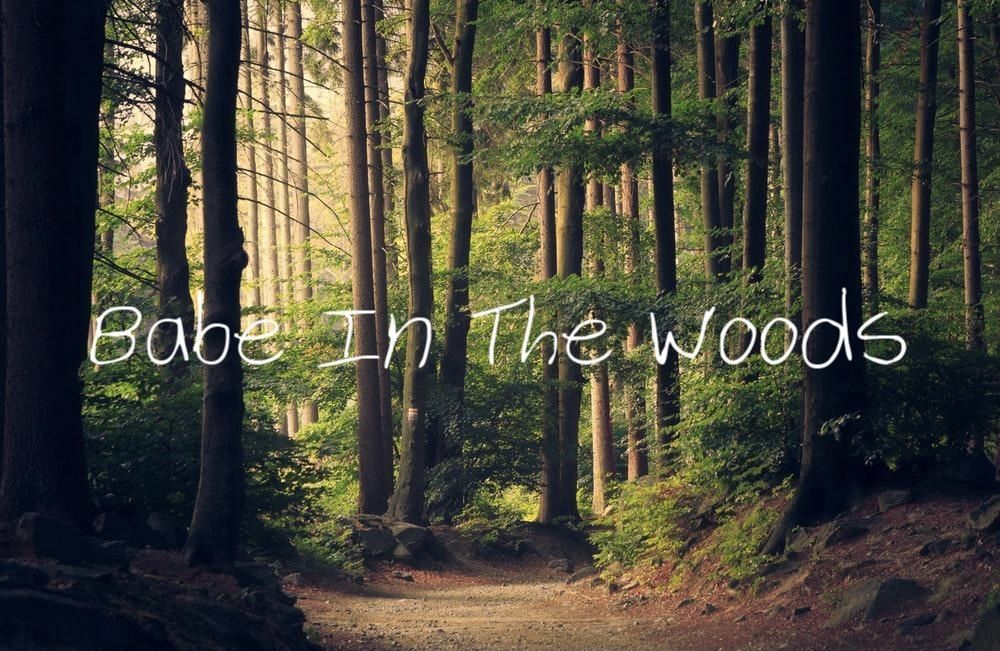 babeinthewoods OnlyFans profile picture