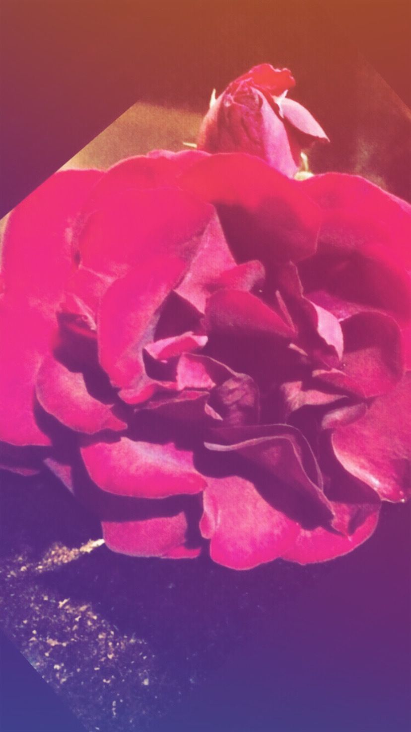 llcooltones OnlyFans profile picture