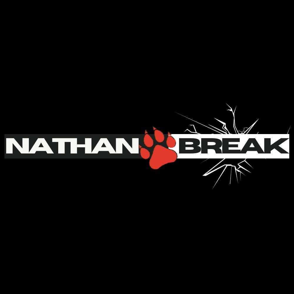 nathan_break OnlyFans profile picture