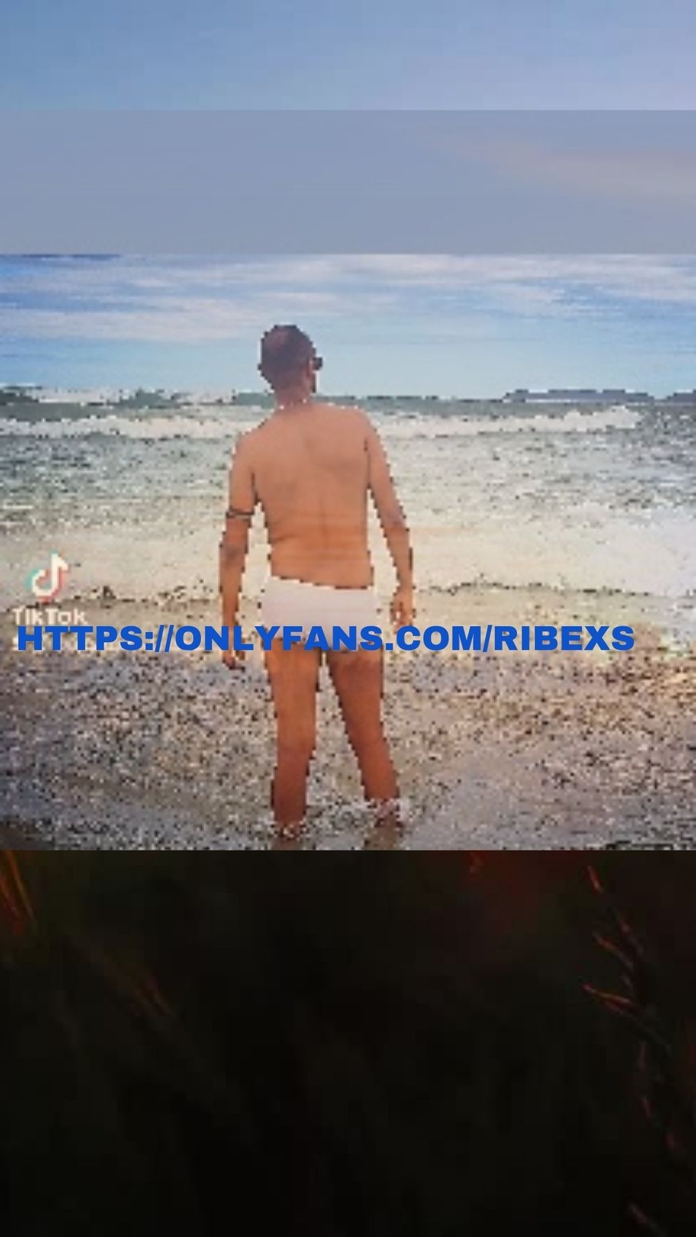ribexs OnlyFans profile picture