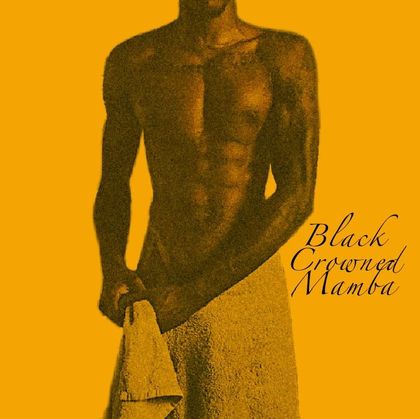 blackcrownedmamba OnlyFans picture