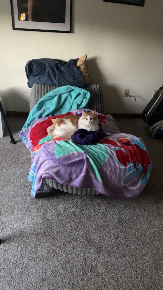 maryginger OnlyFans profile picture