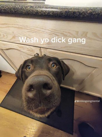 Imsoasian