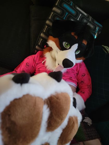 angrybarks OnlyFans picture