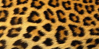 u147856189 OnlyFans profile picture