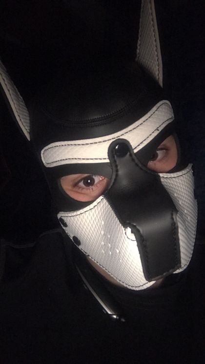zeecopuppy OnlyFans picture