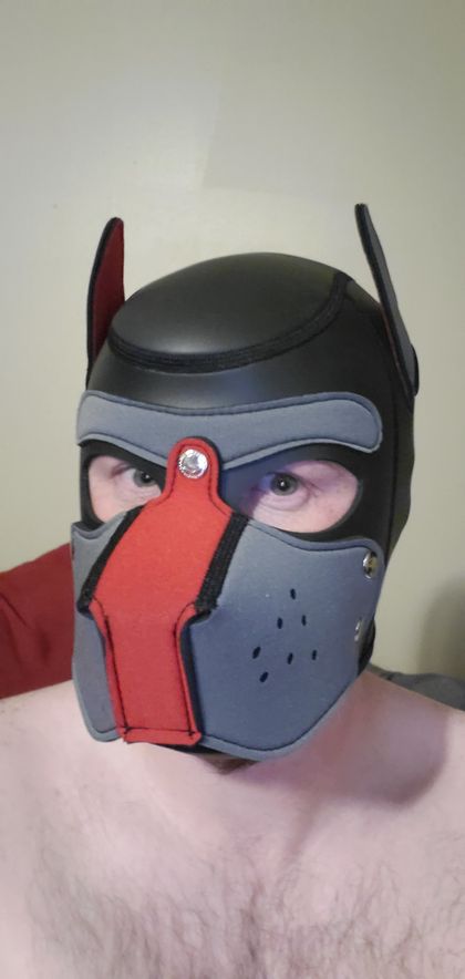 bittergrim87 OnlyFans picture