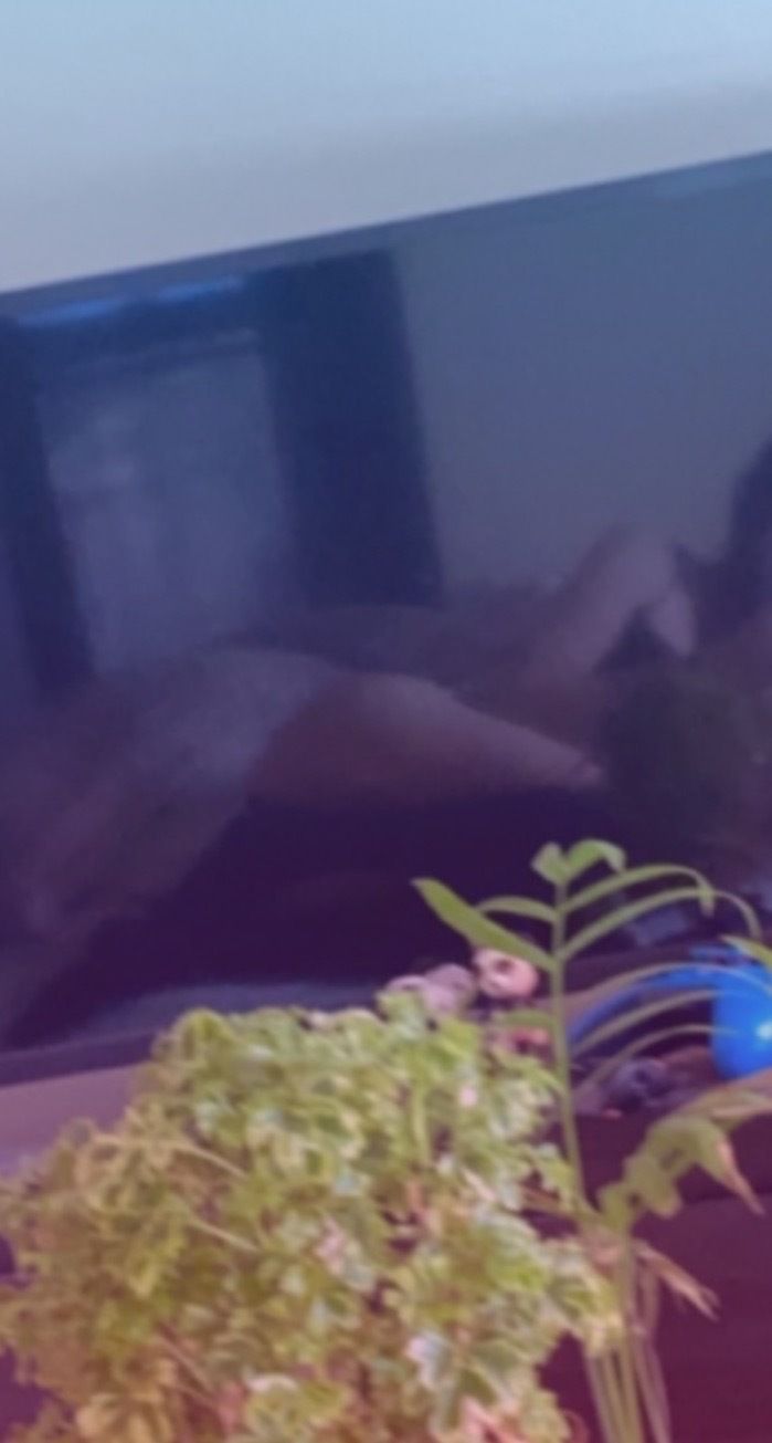 feebsbites OnlyFans profile picture