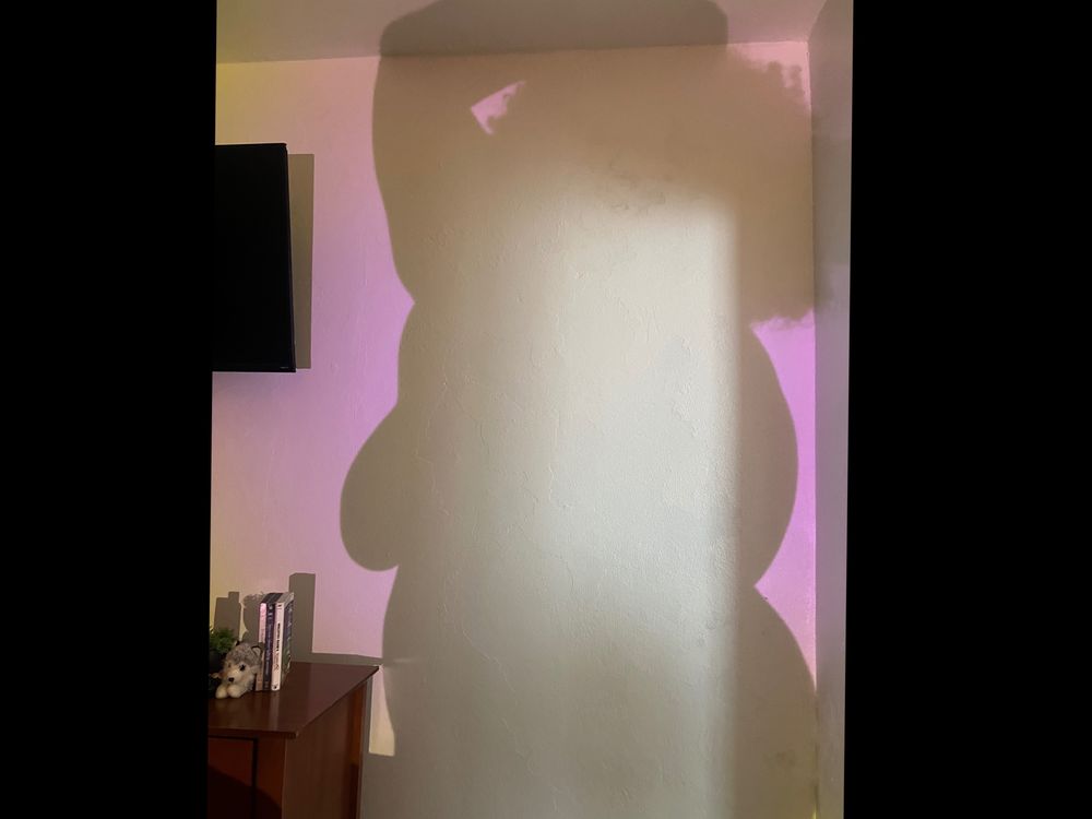 taniiamayala OnlyFans profile picture