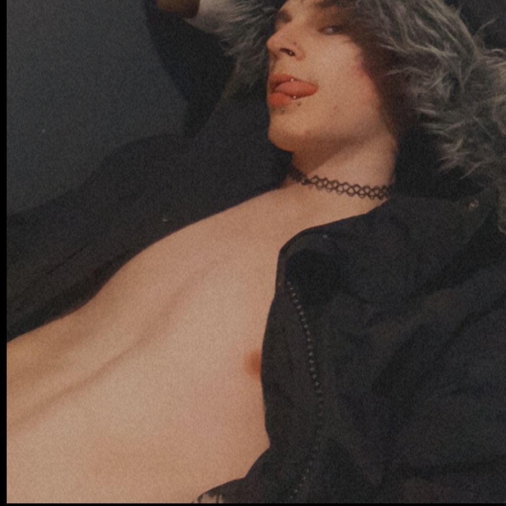 n0vathetrashcan OnlyFans profile picture