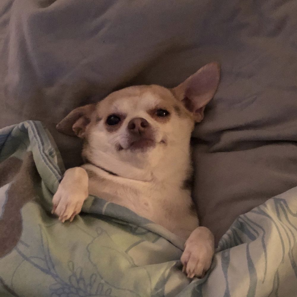 ridax OnlyFans profile picture