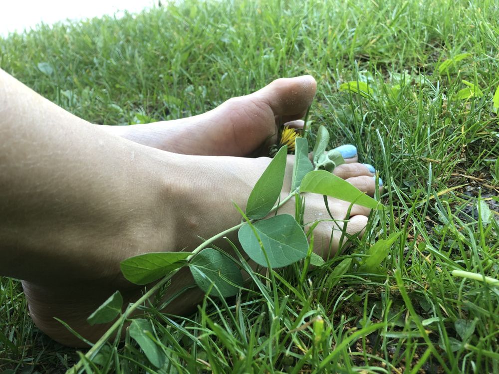 lexisexoticfeet OnlyFans profile picture