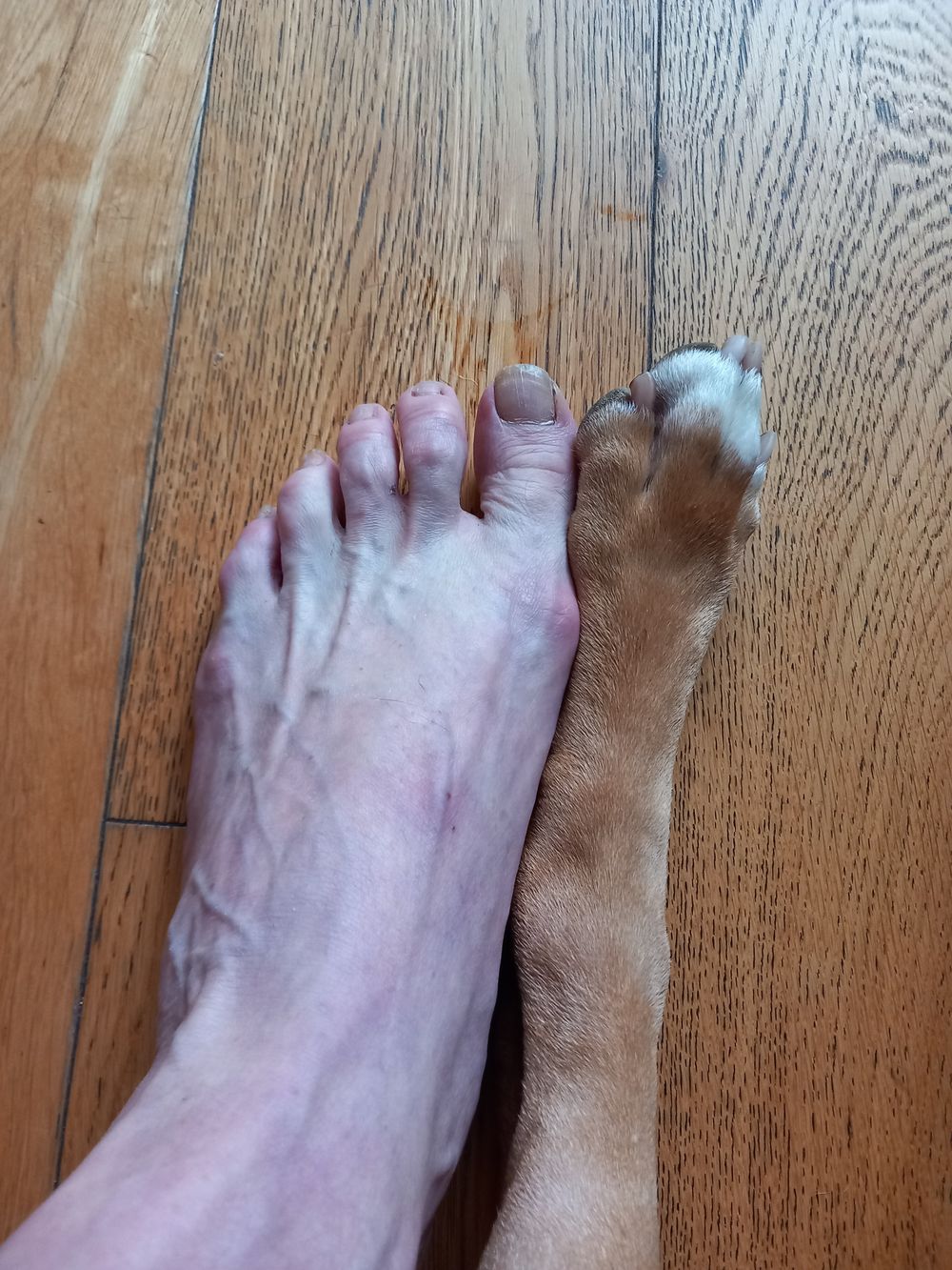dirtyfeet66 OnlyFans profile picture