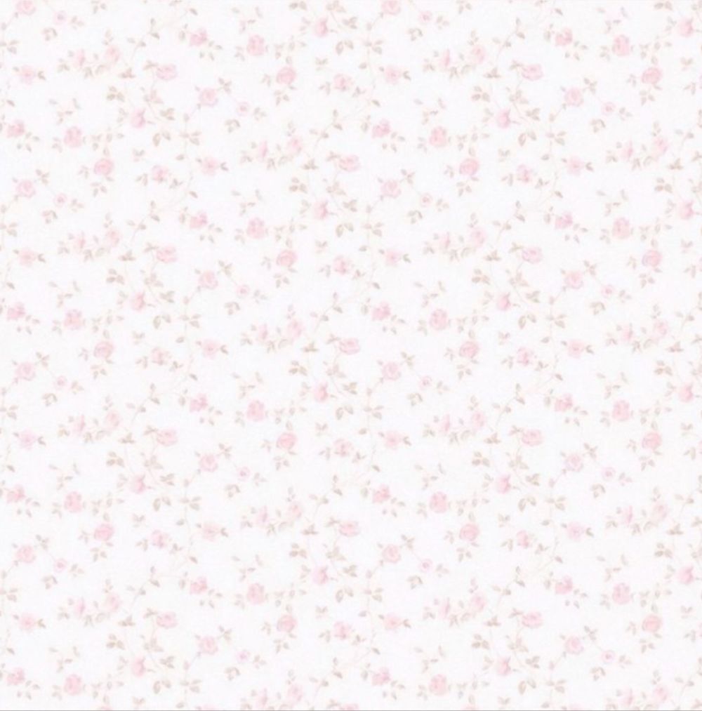 dream4isa OnlyFans profile picture
