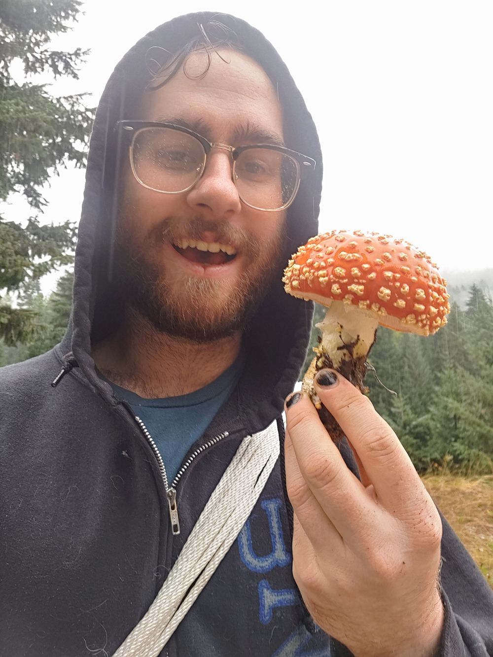 plantdaddy96 OnlyFans profile picture