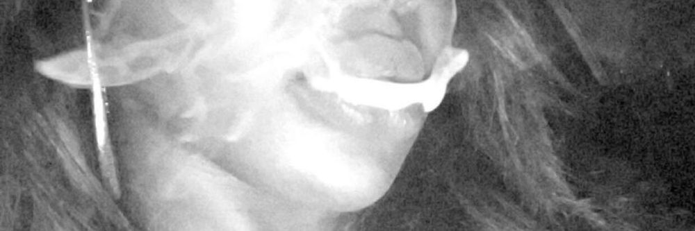 thatgirlriee OnlyFans profile picture