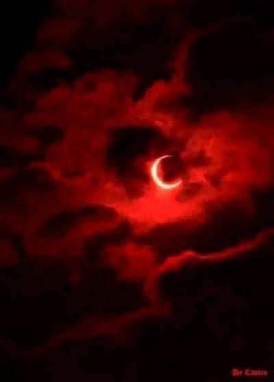 u121263562 OnlyFans picture