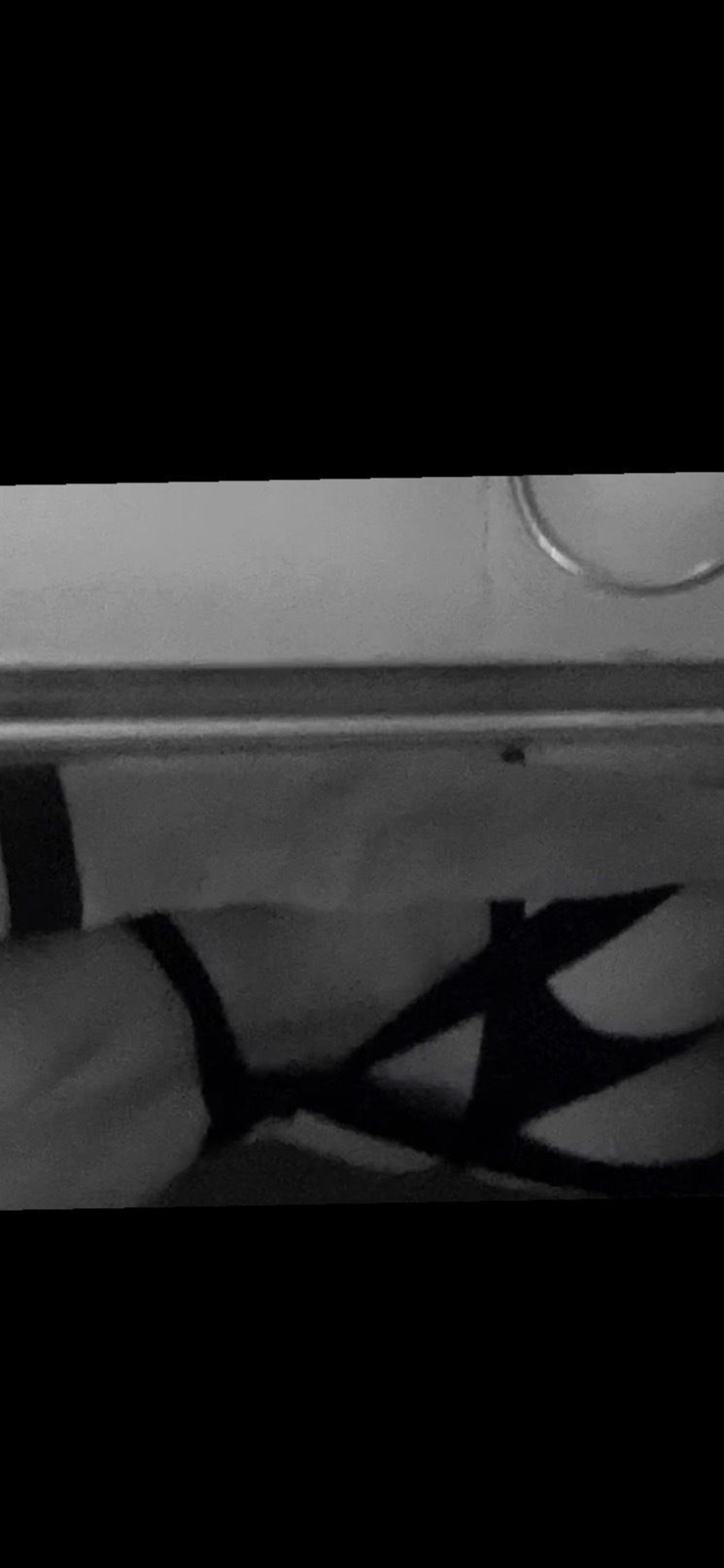 kaueecarvalho OnlyFans profile picture