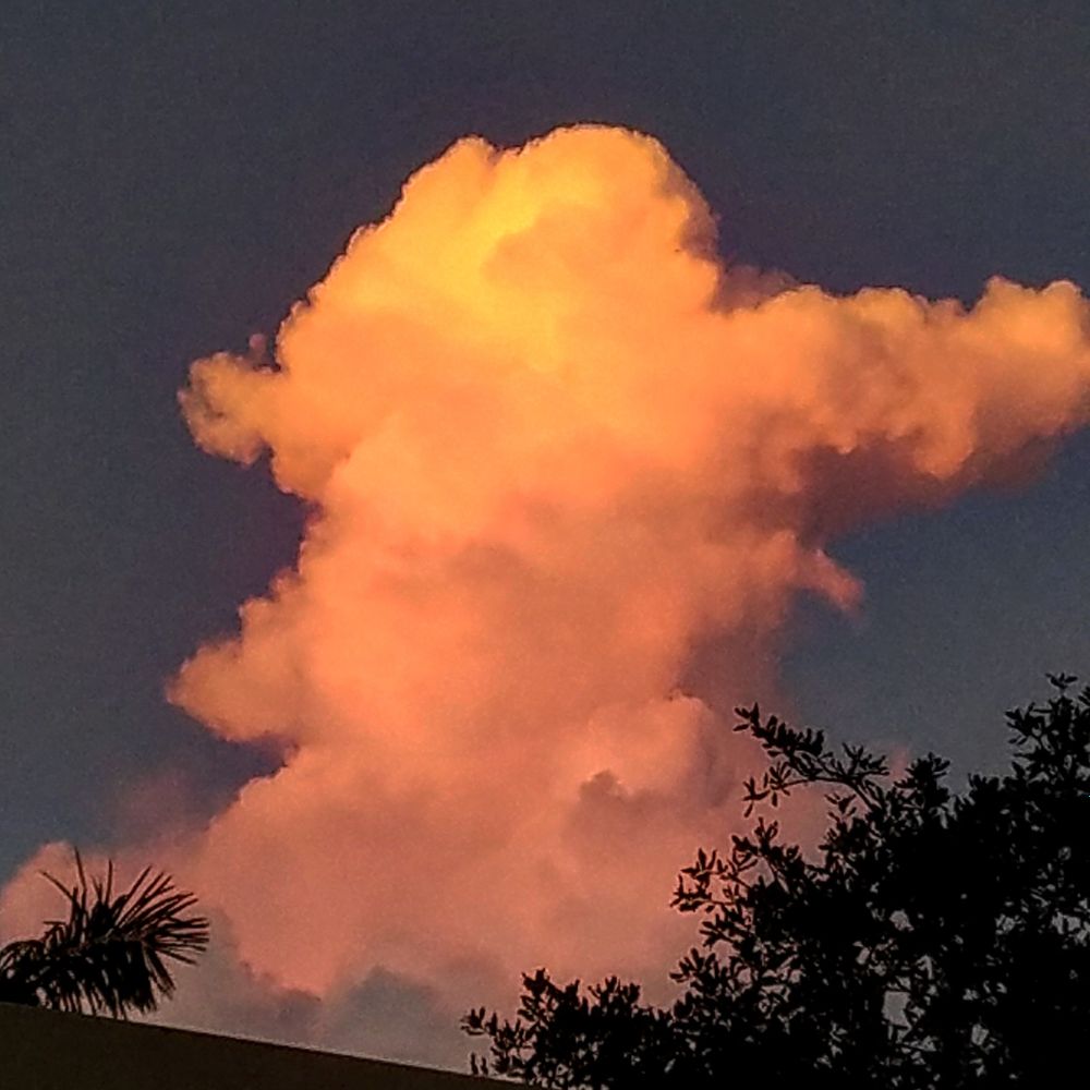 spiritualfire OnlyFans profile picture