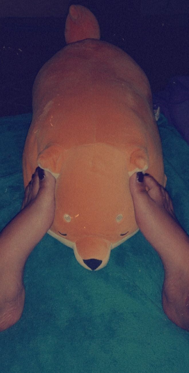 foxxypaws OnlyFans profile picture