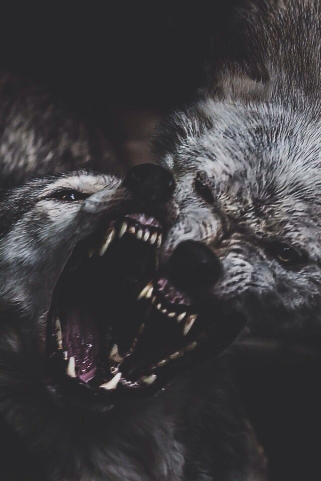 h0rizon OnlyFans profile picture