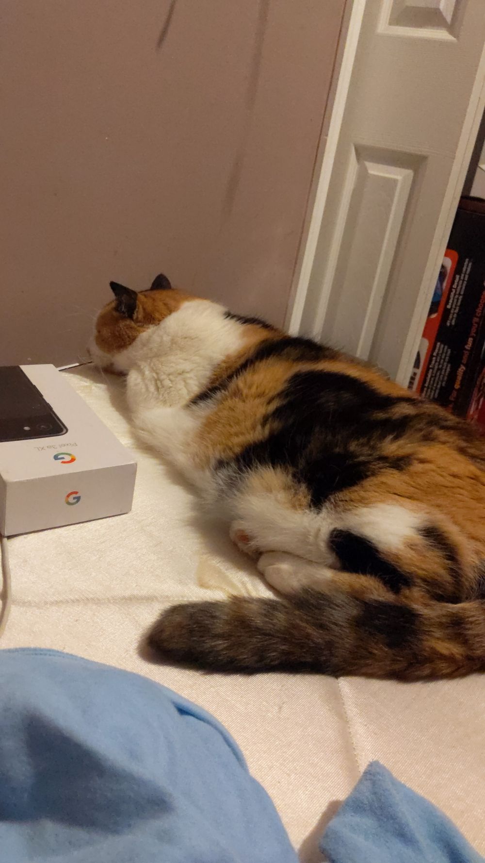 chillingwithcat OnlyFans profile picture